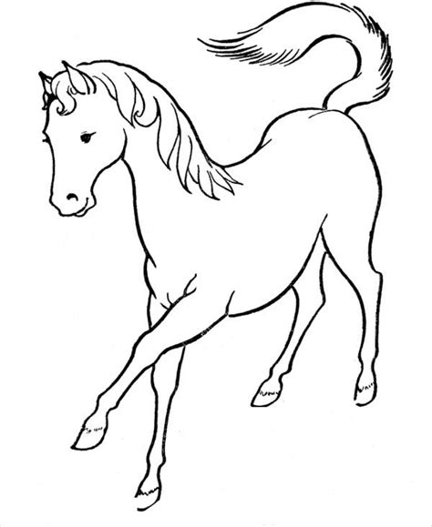 9+ Horse Coloring pages - Free PDF Document Download | Free & Premium Templates