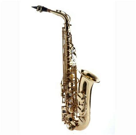Hawk Student Gold Lacquered Alto Saxophone With Case