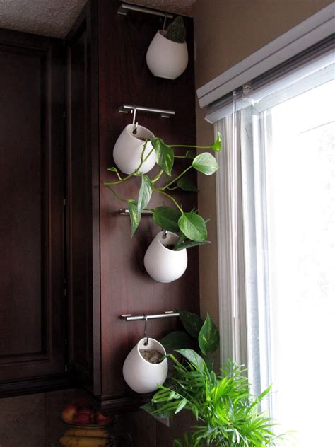 For the sides of the glass (above sink) cabinets --near window for