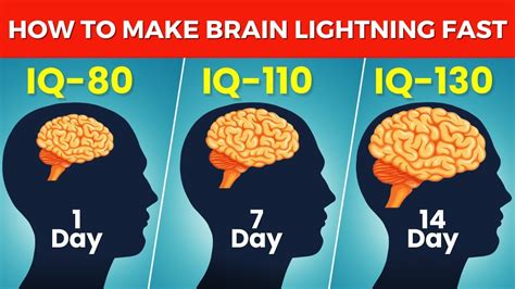 How To Improve Your Brain Power How To Increase Iq Level Youtube