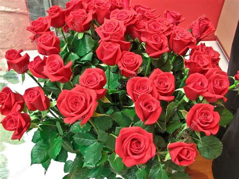 A Bunch Of Red Roses — Stock Photo © Bus2010 2422509