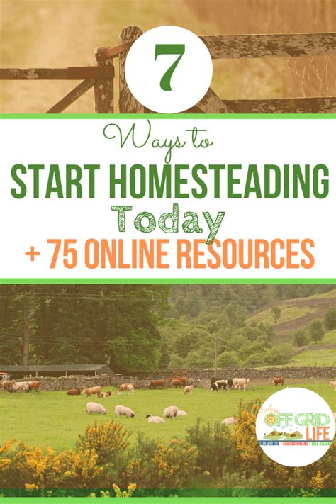 7 ways to start homesteading today an off grid life