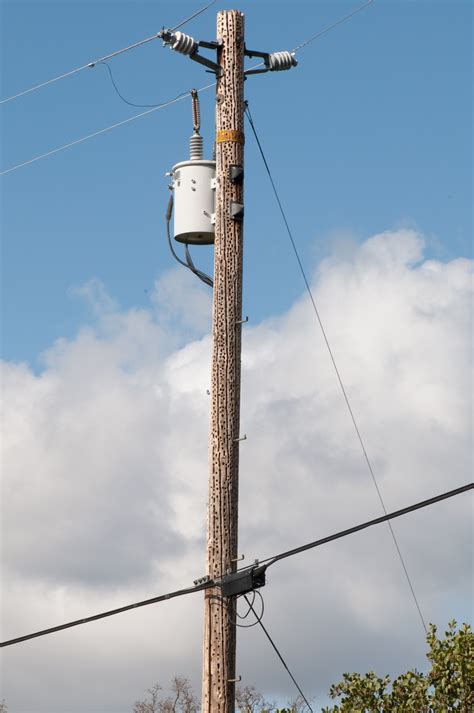 Telephone Power And Catv Poles