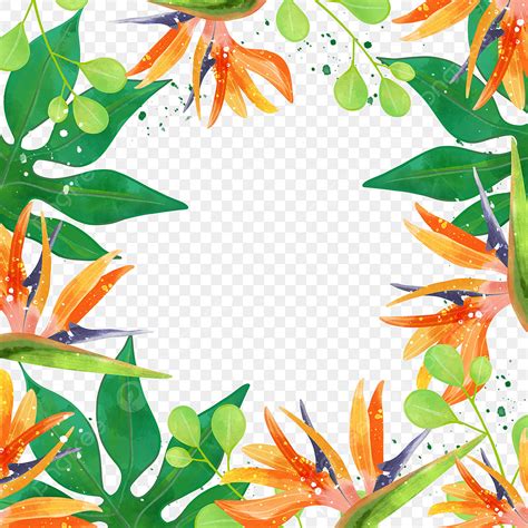 Tropical Leaves Border Clipart Transparent PNG Hd Watercolor Tropical