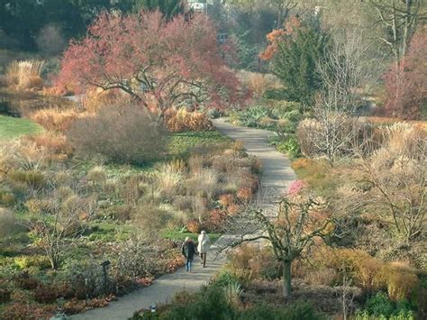 We did not find results for: autumn garden at the Hermannshof Weinheim botanical garden ...