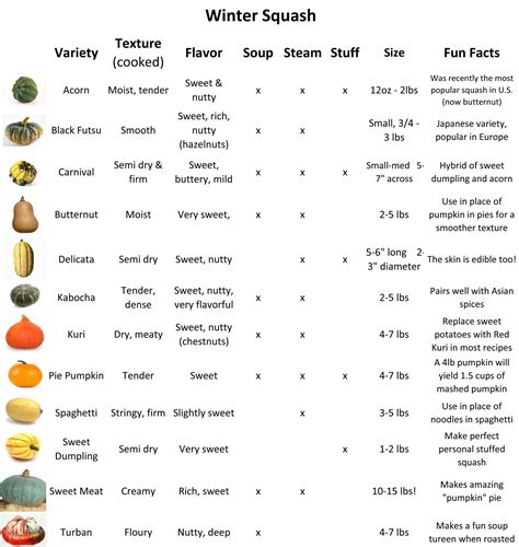 Squash Varieties Taka Vegetable