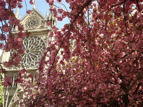 Qui passa la linea della metro 1 (una delle più utilizzate dai turisti, dato che tocca molte delle attrazioni centrali) e la rer c. Primavera a Parigi - Viaggi, vacanze e turismo: Turisti ...