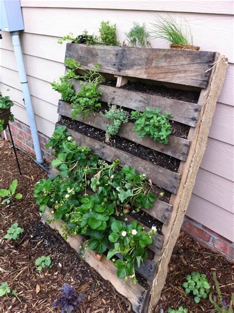 Refresh Your Eyes And Mind With Pallet Vegetable Garden 101 Pallets