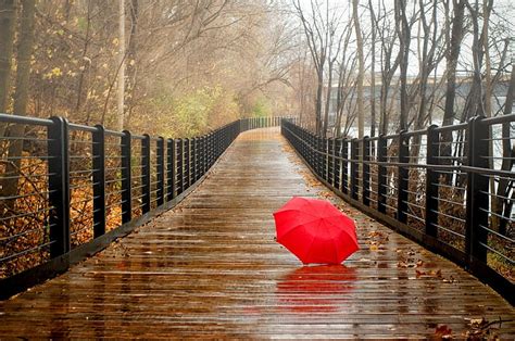 rainy day fall autumn autumn leaves umbrella drops rainy splendor bridge hd wallpaper