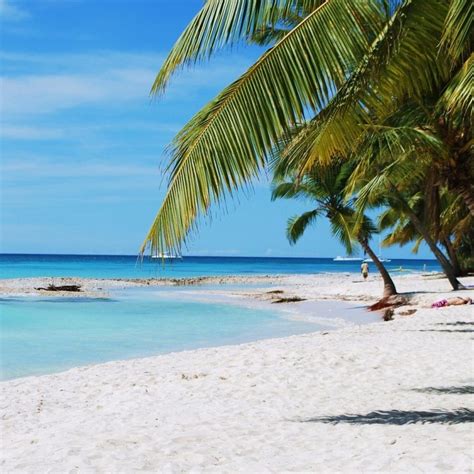 10 Top Dominican Republic Beaches Wallpaper Full Hd 1080p For Pc