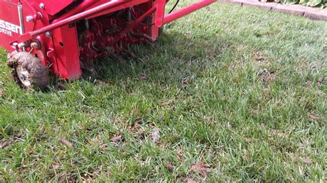 Lawn aeration opens up the turf to create passageways allowing air, water and nutrients to reach the grasses root system, plus it reduces thatch buildup and gives moss control. Newburgh Lawn & Landscape | lawn aeration | seeding | lawn care