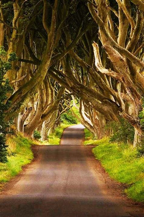 The Dark Hedges Country Antrim Northern Ireland Places To Travel