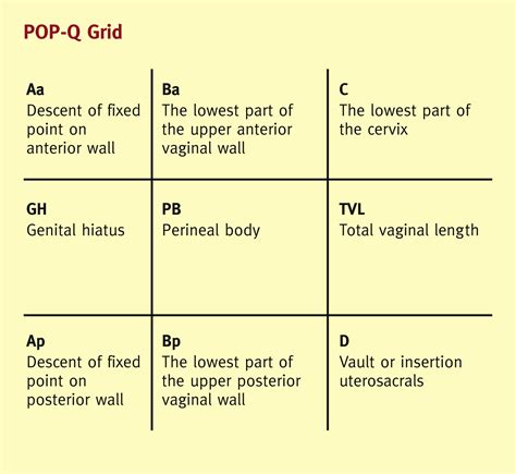 Assessment Of Pelvic Organ Prolapse A Practical Guide To The Pelvic