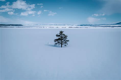 Snow Covered Field And Trees Under Blue Sky · Free Stock Photo