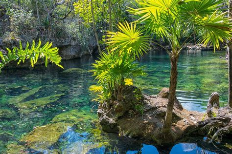 Mexico Yucatan Cenote · Gratis Foto På Pixabay