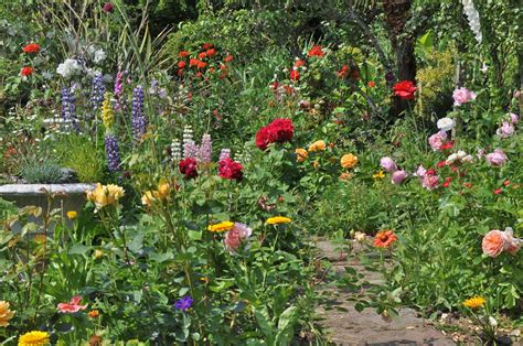 There are plenty of ways to work with a clay soil.find out what they are. How to Improve Clay Soil and Poor Garden Drainage | HubPages