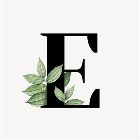 We did not find results for: Botanical font letter E | Royalty free illustration - 584790