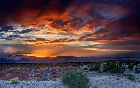 Sunset Desert Area Sand Bushes Landscape Wallpaper Hd 3840x2400