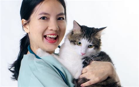 Pekerja percuma untuk anda (tolong jangan pandang ini sebagai sesuatu yang negatif, ianya leverage). Sayangkan Kucing Kenalah Bawa Ke Klinik Veterinar. Dr Ni ...