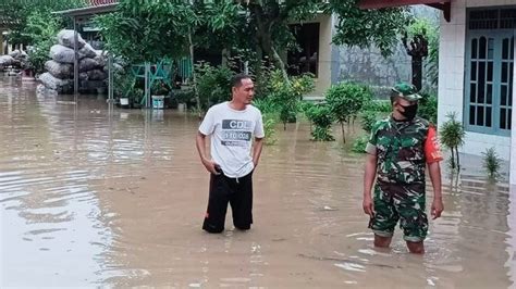 Sungai Meluap Belasan Hektare Sawah Dan Puluhan Rumah Di Brebes