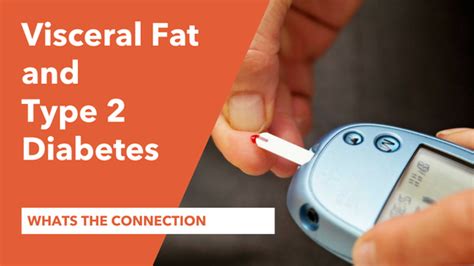 Visceral Fat And Type 2 Diabetes Whats The Connection Supplement Place