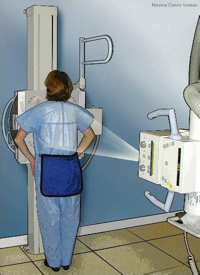 The Principles Of X Rays Machine
