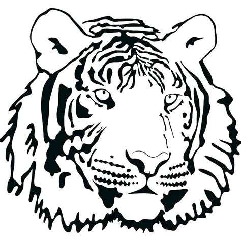 Siberian Tiger Coloring Page At Getdrawings Free Download