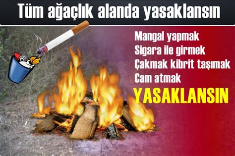 Serpil altunyay ara 28, 2020 0. Orman yangınlarını konu alan poster çalışması nasıl yapılır?