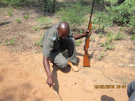 Embrace National Project Sanparks Honorary Rangers