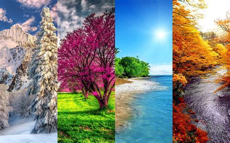 10 Excellent Winter Spring Desktop Wallpaper You Can Use It Without A