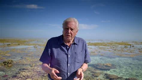 Bbc One Great Barrier Reef With David Attenborough