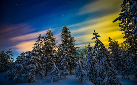 바탕 화면 다운로드 핀란드 라플란드 리 눈 숲 겨울 해상도가있는 데스크톱 용 1920x1200 고품질의 Hd 사진 월페이퍼