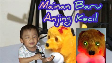 Keren nih anjing kayak rubah, di daerah gue ada juga kok anjing spesies baru mukanya sama persis kayak teman gua. Baby Arkana dan Anjing kecil - YouTube
