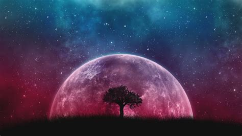 Lone Tree 4k Wallpaper Planet Surreal Night Silhouette Starry Sky