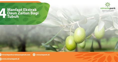 We did not find results for: Peladang Zaitun