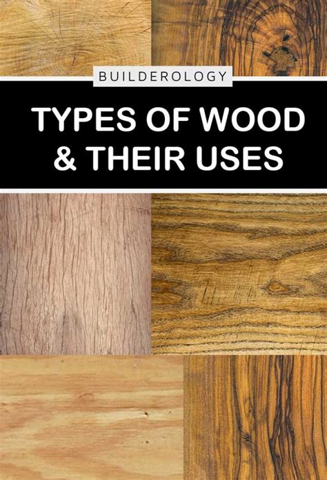 Different Types Of Wood And Their Uses Builderology