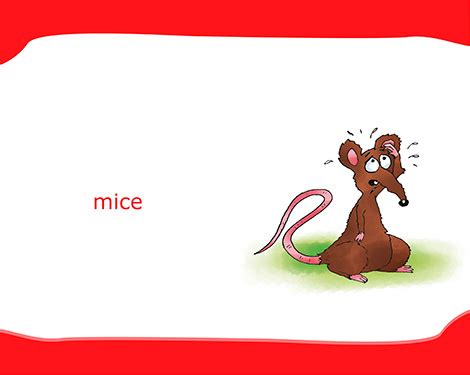 Learn from native speakers and increase vocabulary, making friends, and have fun! Flashcards | Smartkids