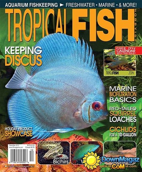 Tropical Fish Hobbyist December 2013 Download Pdf Magazines