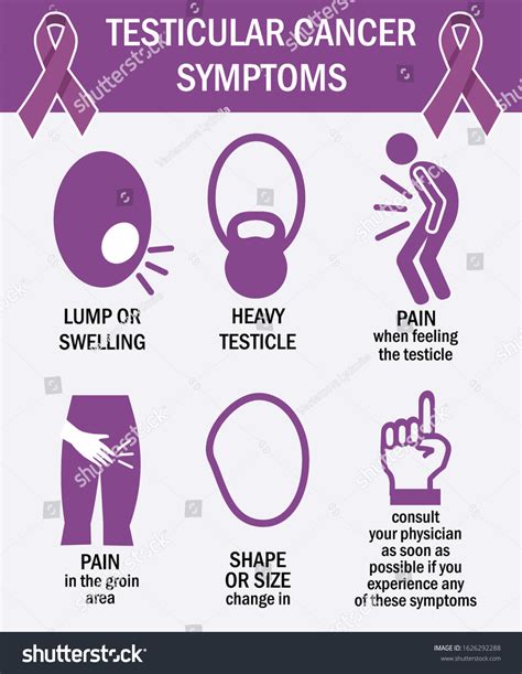 Testicular Cancer Symptoms Infographics Pictogram Icons 스톡 벡터로열티 프리