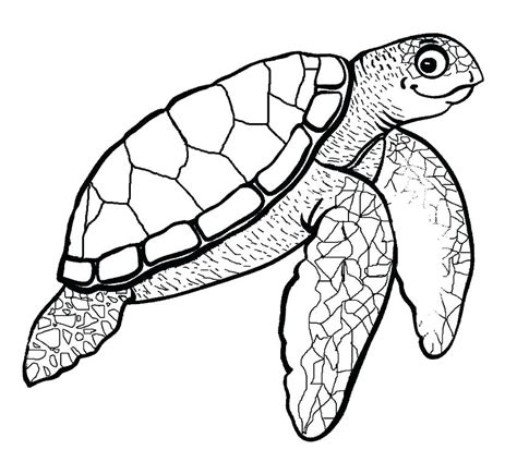 Printable Sea Turtle Coloring Page