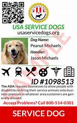 Printable Service Dog Id Cards Photos