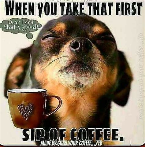 When You Taste That First Sip ☕ Coffee Jokes Funny Coffee Quotes