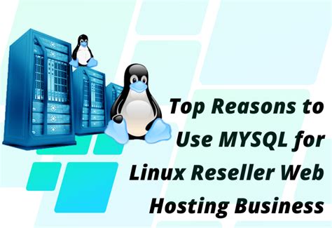 Get The Best Linux Reseller Hosting Plans With Mysql Databases Dr Cric