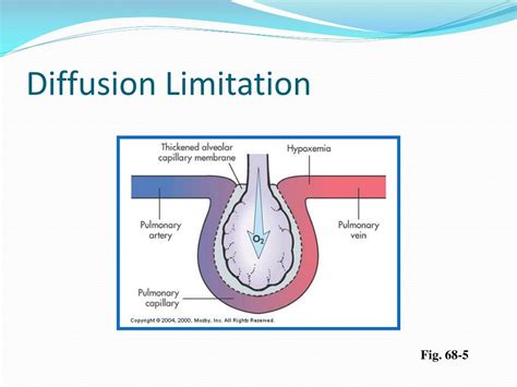 How Does Asthma Affect Gas Exchange