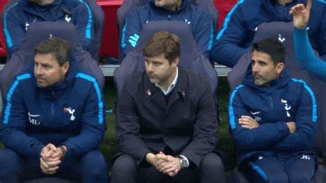 Watch the full video | create gif from this video. Mauricio Pochettino Poch GIF by Tottenham Hotspur - Find & Share on GIPHY