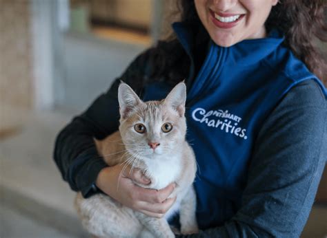 Kitten Season Petsmart Charities