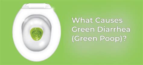 Green Diarrhea Green Poop Possible Causes Symptoms And Treatments 2022