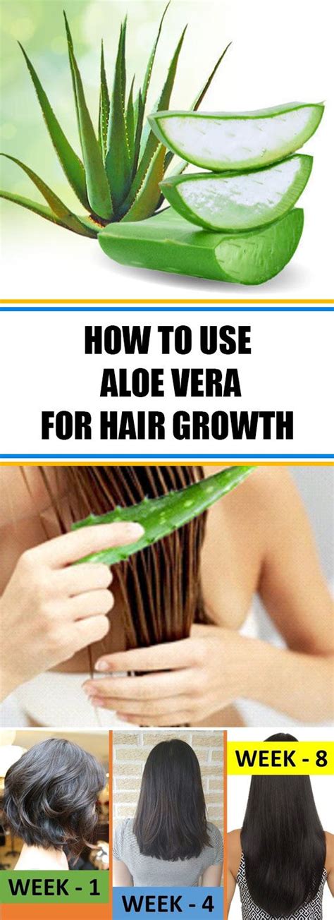 How To Use Aloe Vera For Hair Growth To Speed Up The Process Of Hair