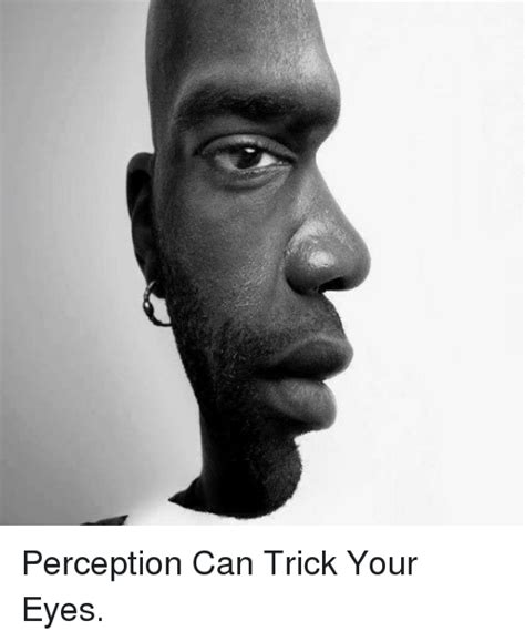 Perception Can Trick Your Eyes Perception Meme On Meme