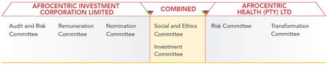 Corporate Governance Report Afrocentric Integrated Annual Report 2016